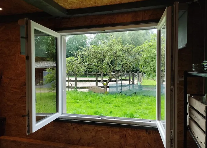 Studio Cosy Boxes Chevaux En Sus